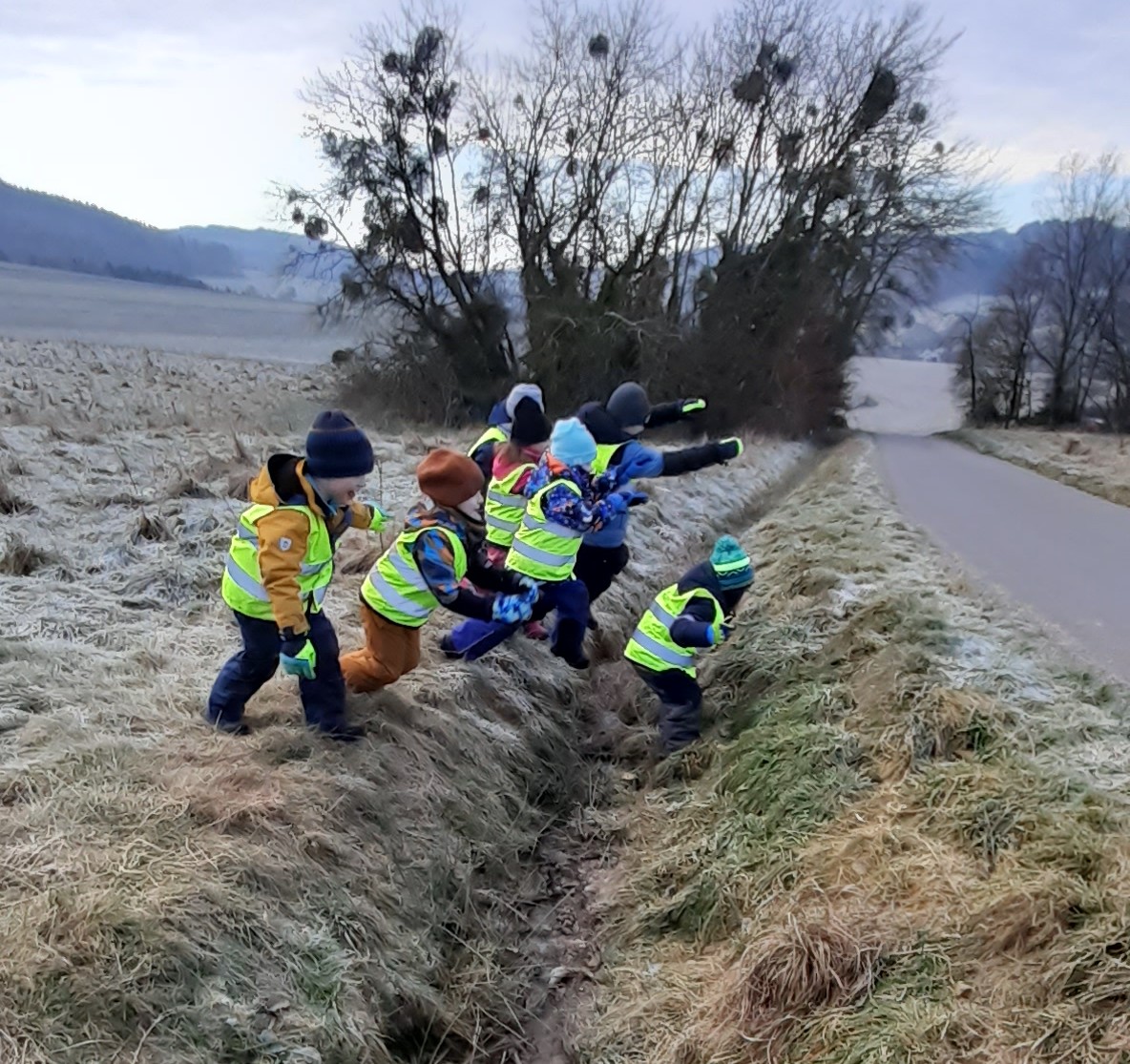 Januar 2025 Nimmersatt 3