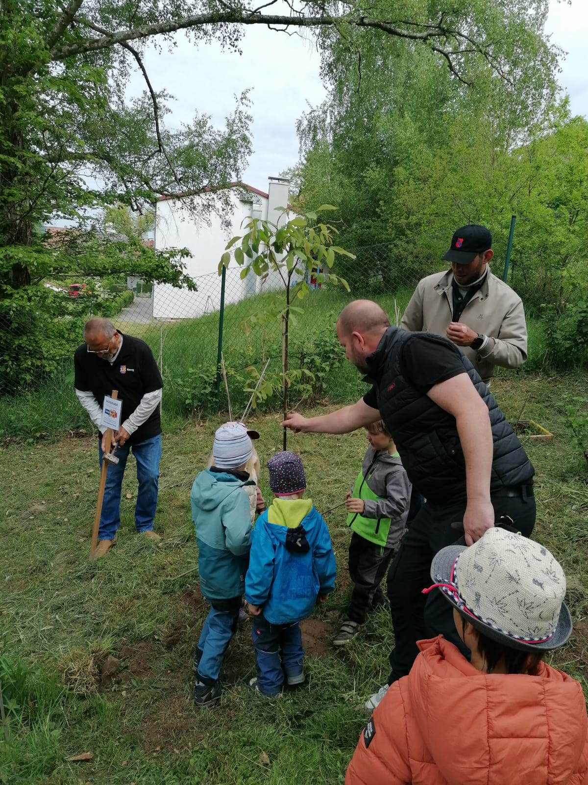 Baum Pflanzung