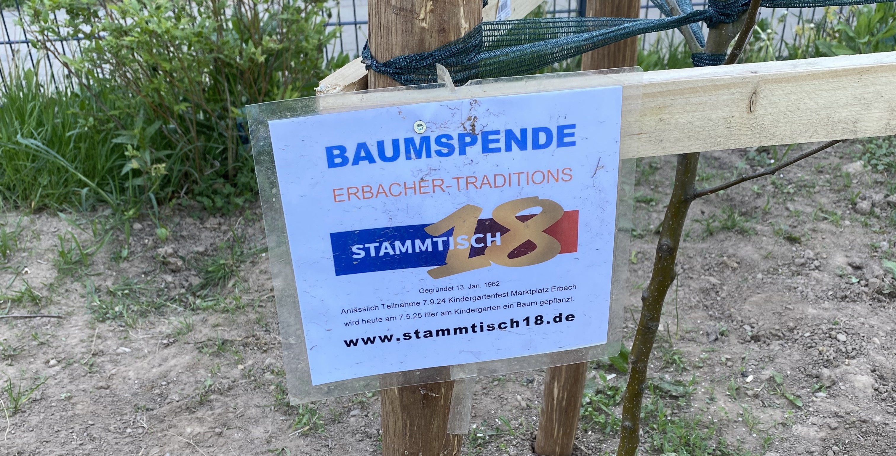 Baum Pflanzung
