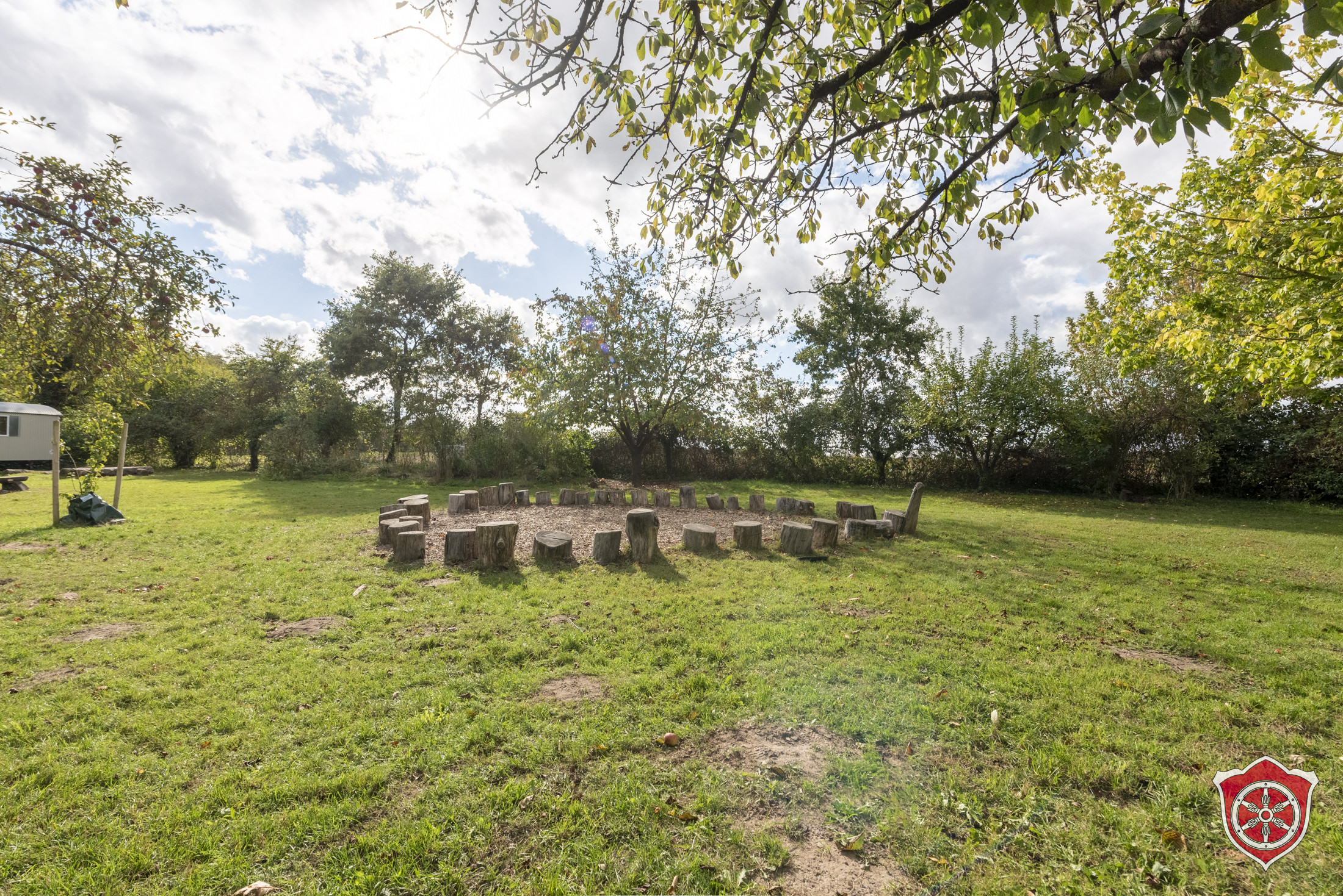 Es ist eine griße Obstwiese zu sehen, die mit Bäumen und Büschen eingegrenzt ist. In der Bildmitte ist ein "Stuhlkreis" aus Baumstumpfen aufgestellt.