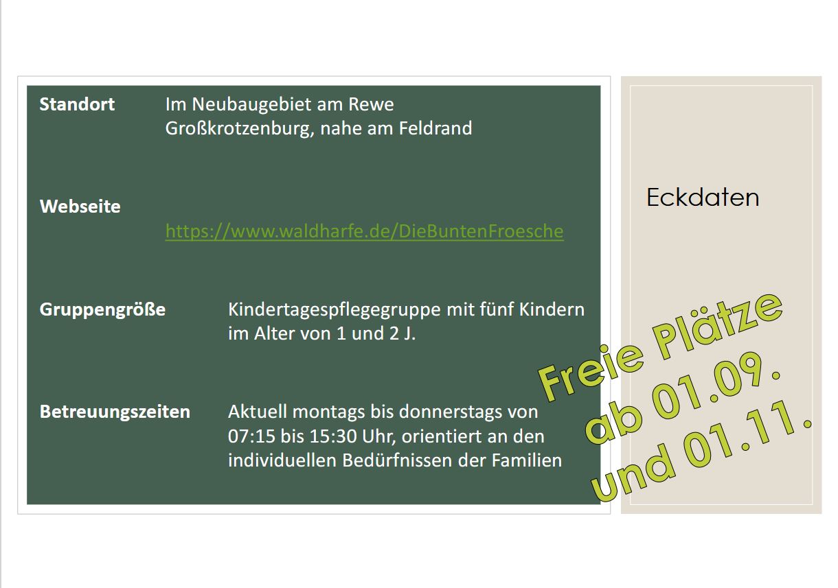 Tagespflege die bunten Frösche 2