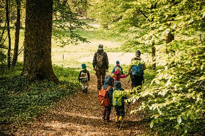Waldkindergarten "Die bunten Vielfalter"