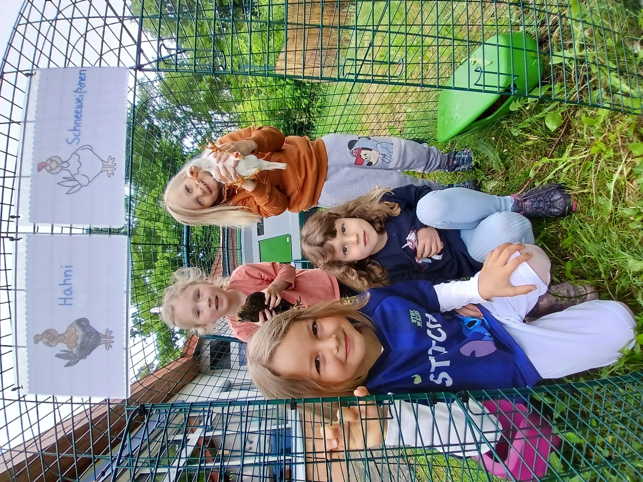 Hühner in der Kita