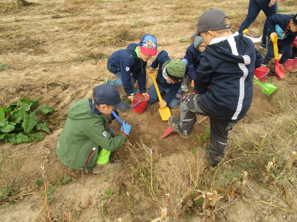Kinder am Kartoffelfeld