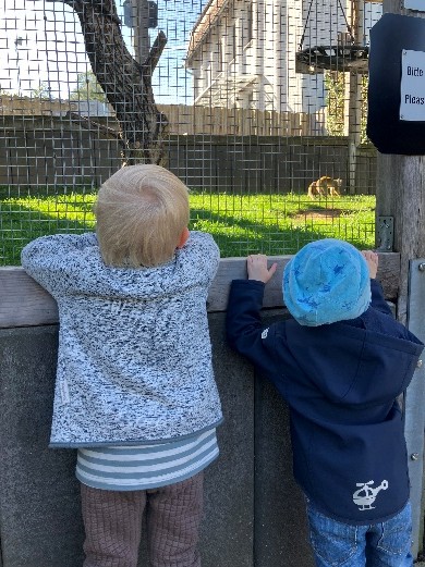 Vogelpark1
