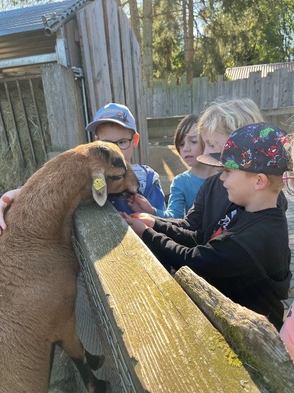 Vogelpark3