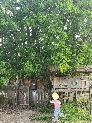 Wald- und Naturkindertagesstätte Waldwichtel