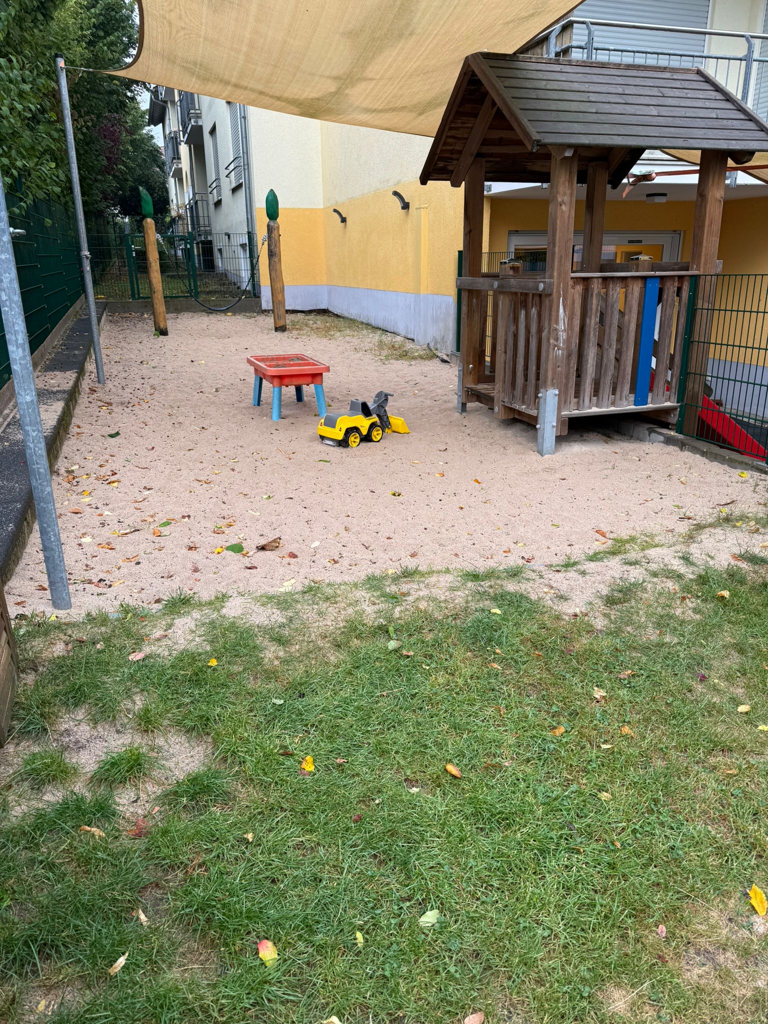 Löwenzahn
